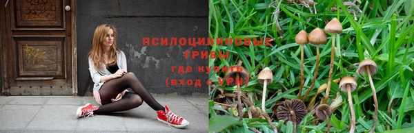 первитин Нея