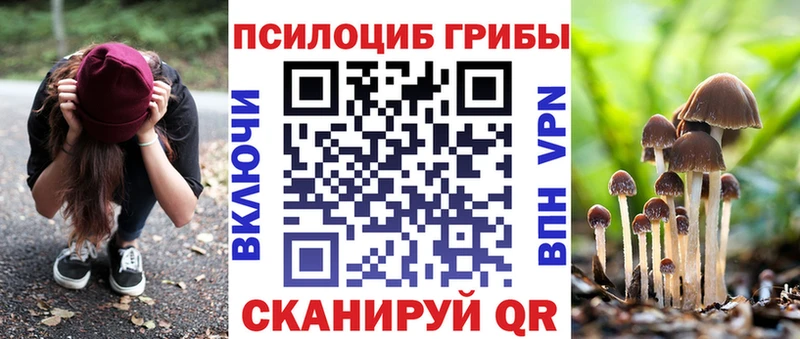 Купить  Кизляр  Псилоцибиновые грибы прущие грибы 